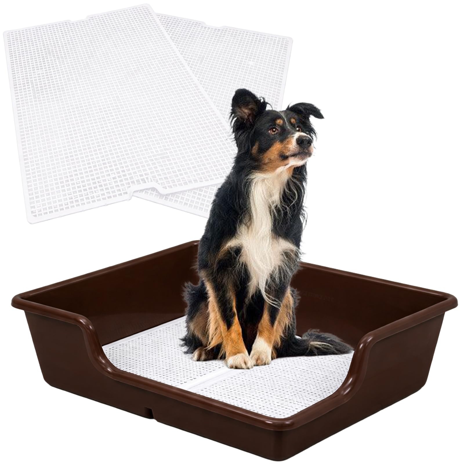 Amazon | 犬 トイレ トレー 特大 スーパー ワイド (ブラウン, 取替